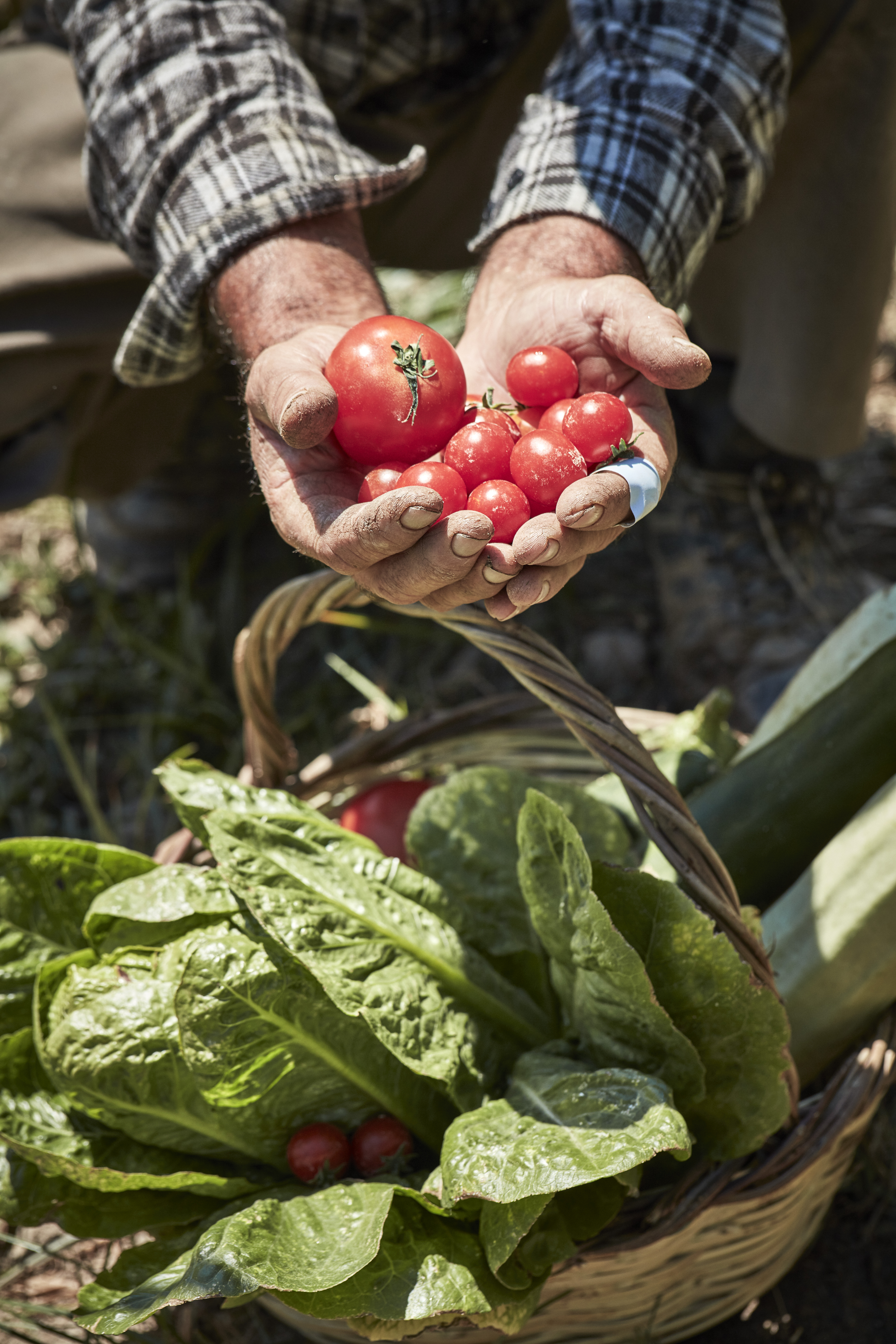 Hotel Mykonos Riviera Hotel & Spa, Griechenland, Tourlos. Großes 1